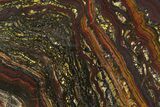 Polished Tiger Iron Stromatolite Slab - Billion Years #354936-1